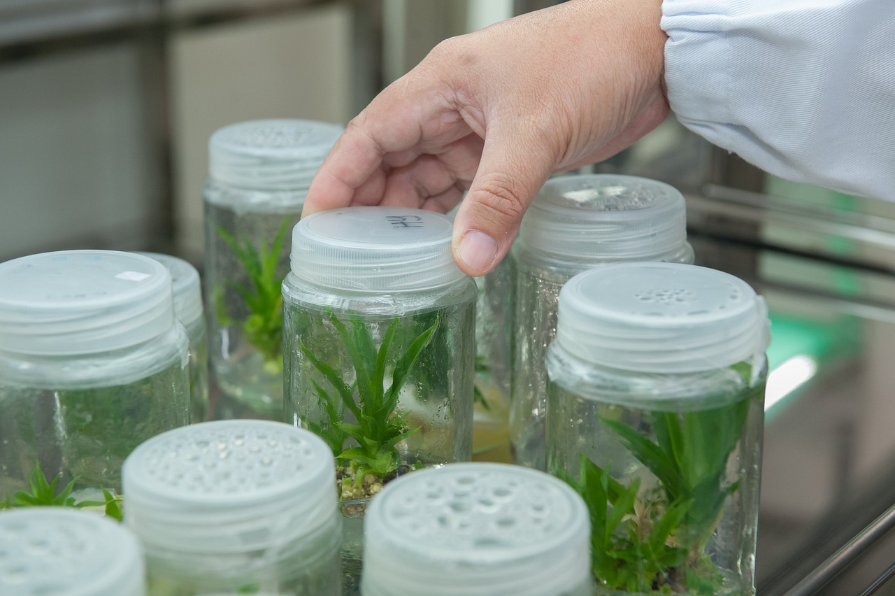 How Technology is Changing the Way We Study Biology